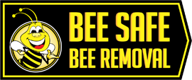 Bee Safe Services Training